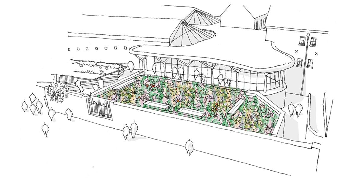 Line drawing of green roof on studio