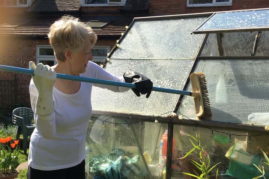 Person cleaning a greenhouse with a large brush