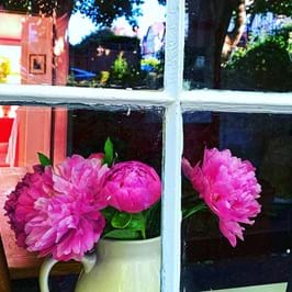 Pink flowers viewed through a window