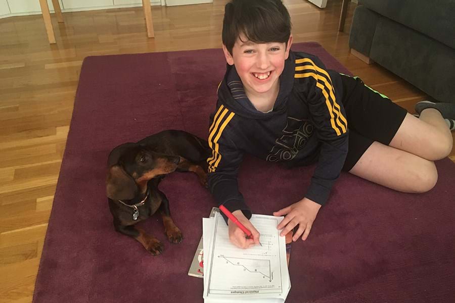 A child sat on a rug doing school work next to a sausage dog