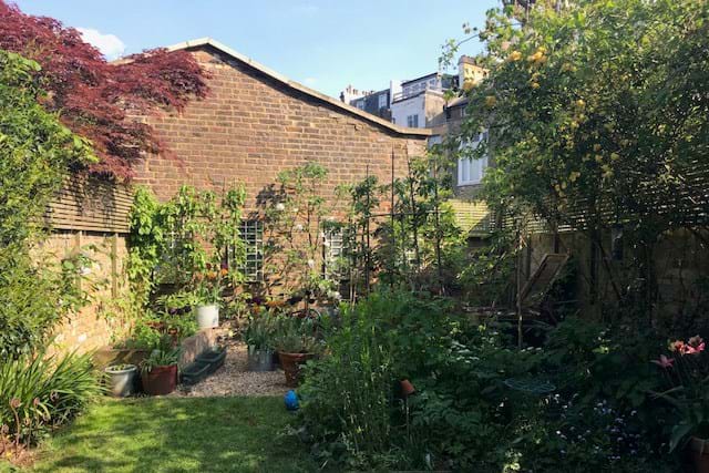 View of garden lawn with plants growing in front of a brick wall