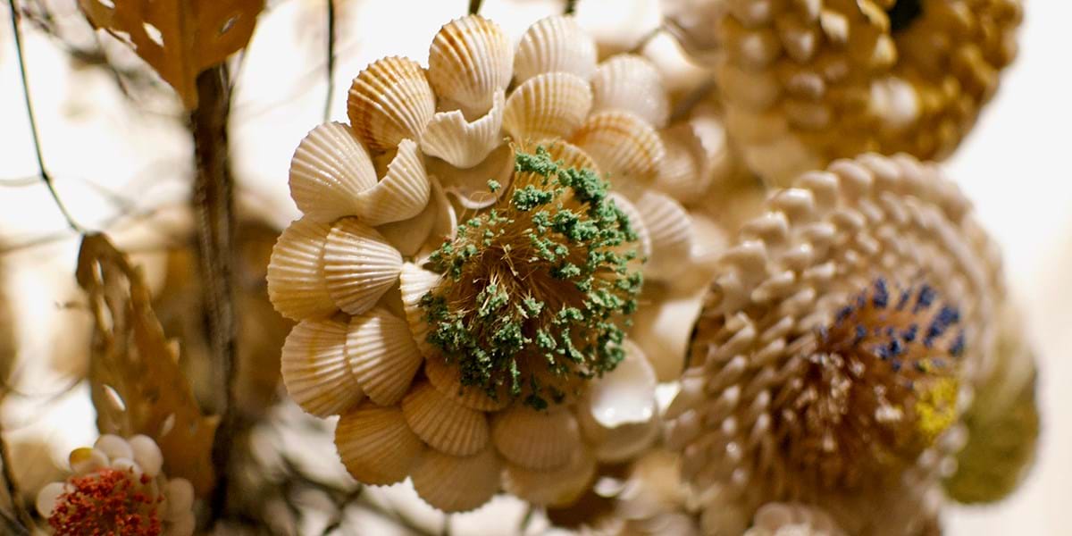 Detail of shell ornament