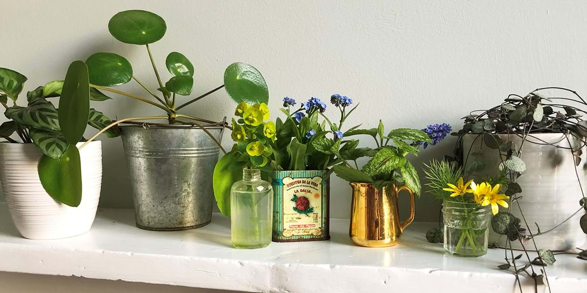 Various flower pots, jars, buckets and jugs on a mantelpiece