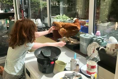  A child playing with a chicken inside