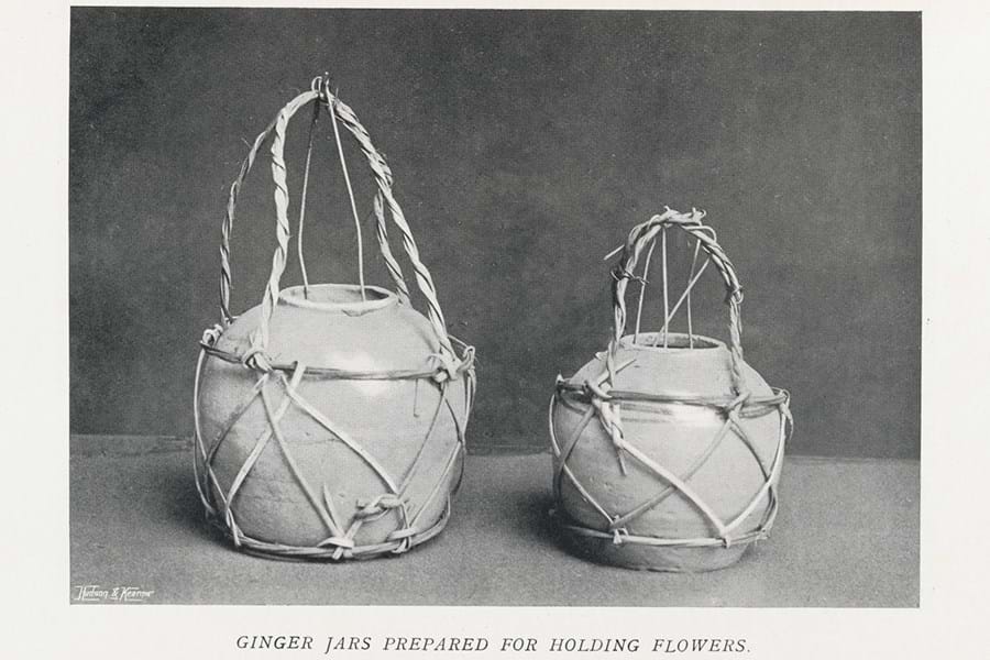 Ginger jars used as flowerpots