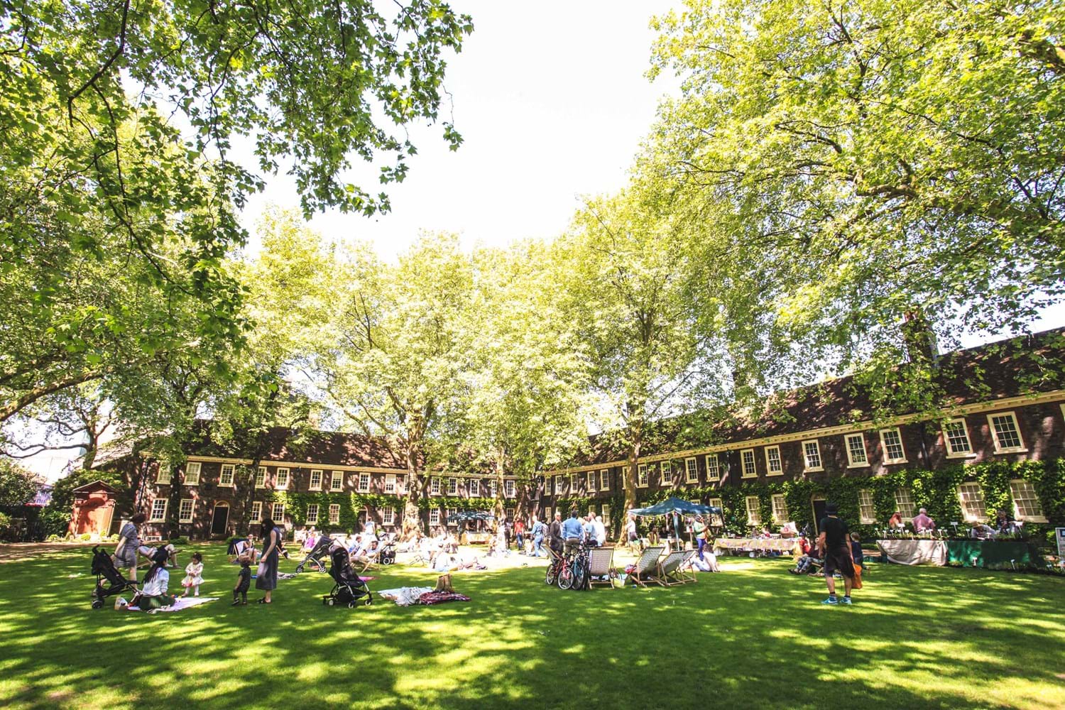 EF Lawns
