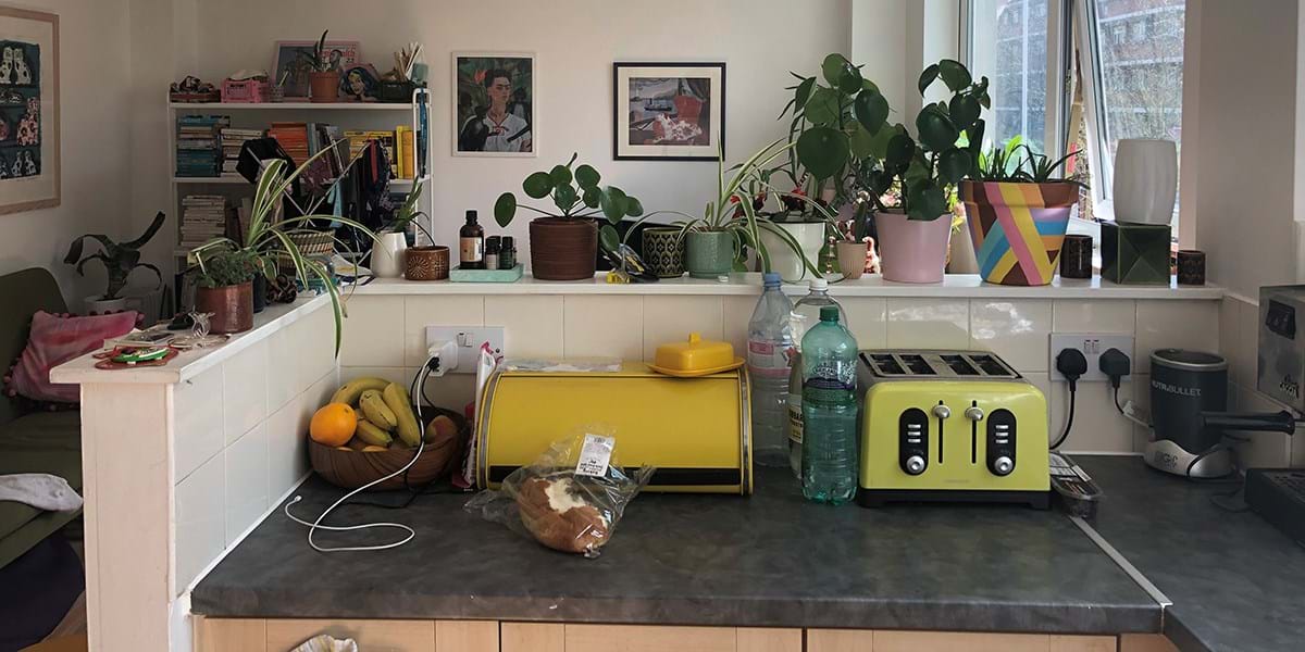A kitchen counter with a yellow bread bin and a green toaster 