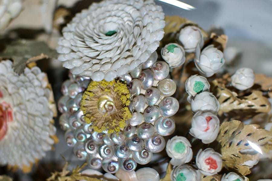 A close up of decorative shells in the ornament