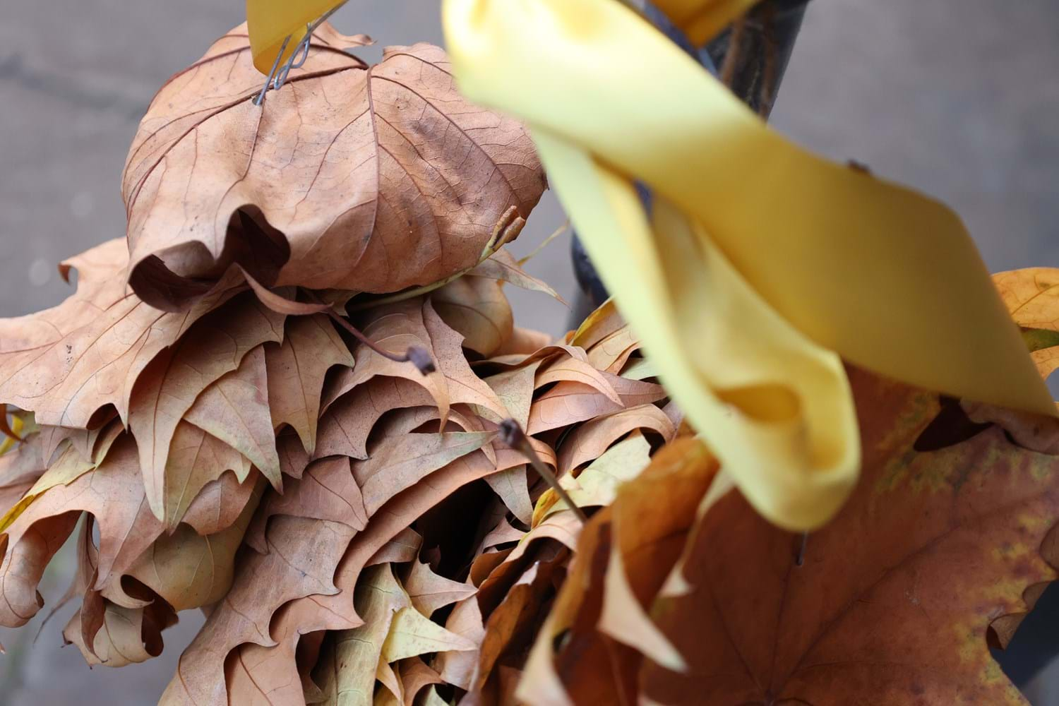 autumn leaves wreath on door