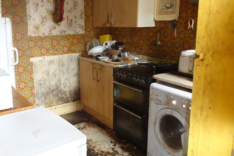 A kitchen with patterned wallpaper