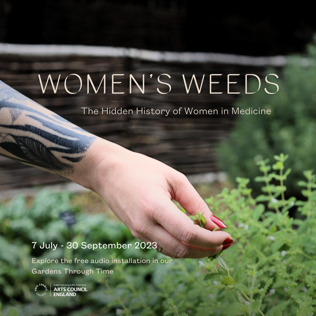 Women’S Weeds (Instagram Post (Square)