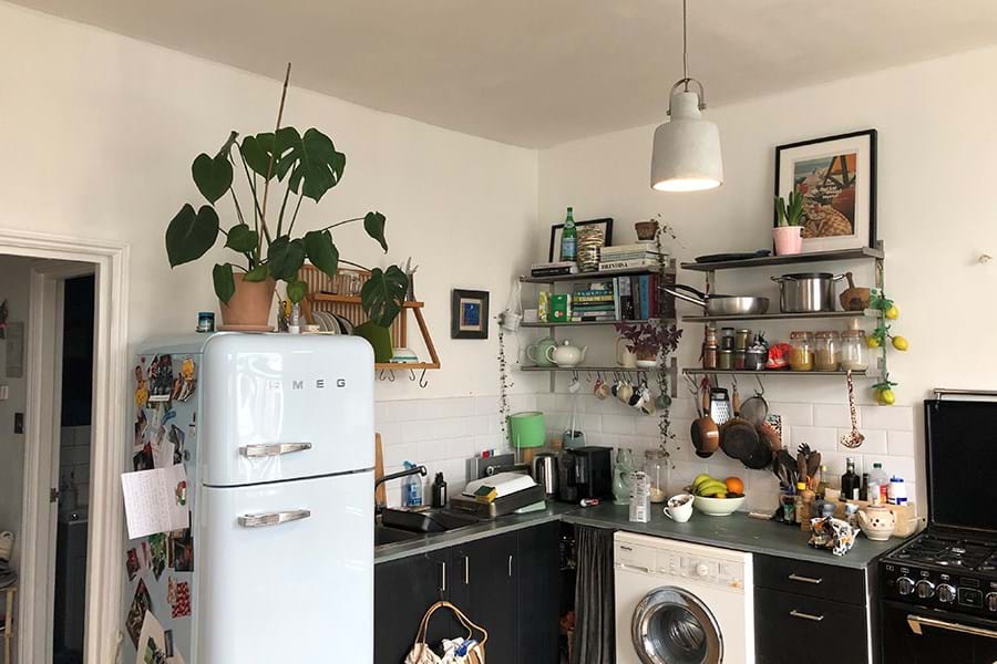 Kitchen with a cheese plant on top of blue Smeg fridge