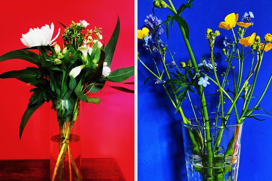 Flowers in vases against a red wall and a blue wall