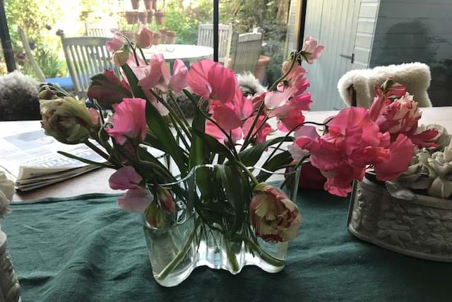 Pink flowers in a clear glass vase on a dark green cloth