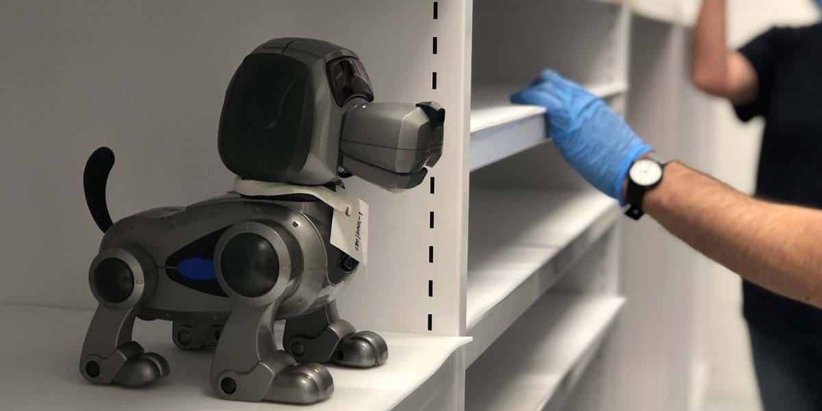 A toy robot dog on a museum store shelving unit