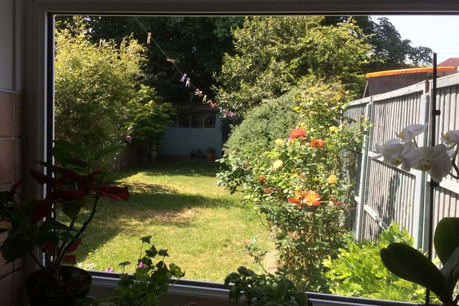 View of a grassy garden out of a window