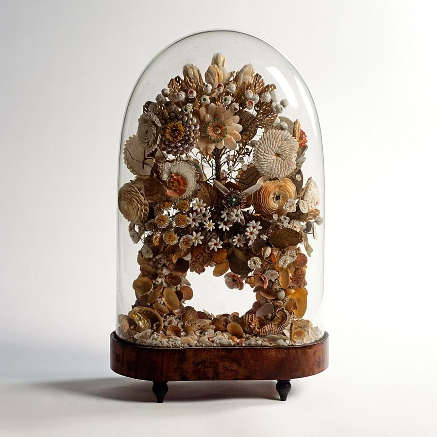 An ornament made from shells covered with a glass dome