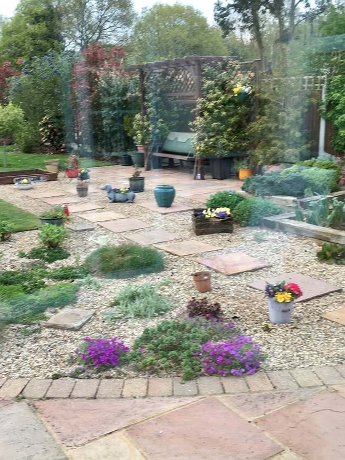 A patio with various plants and flowers