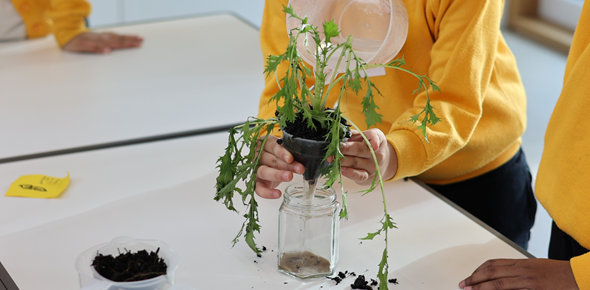 Children's hands water and hold a plant