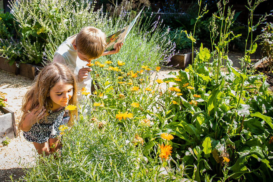 Children smelling yellow flowers