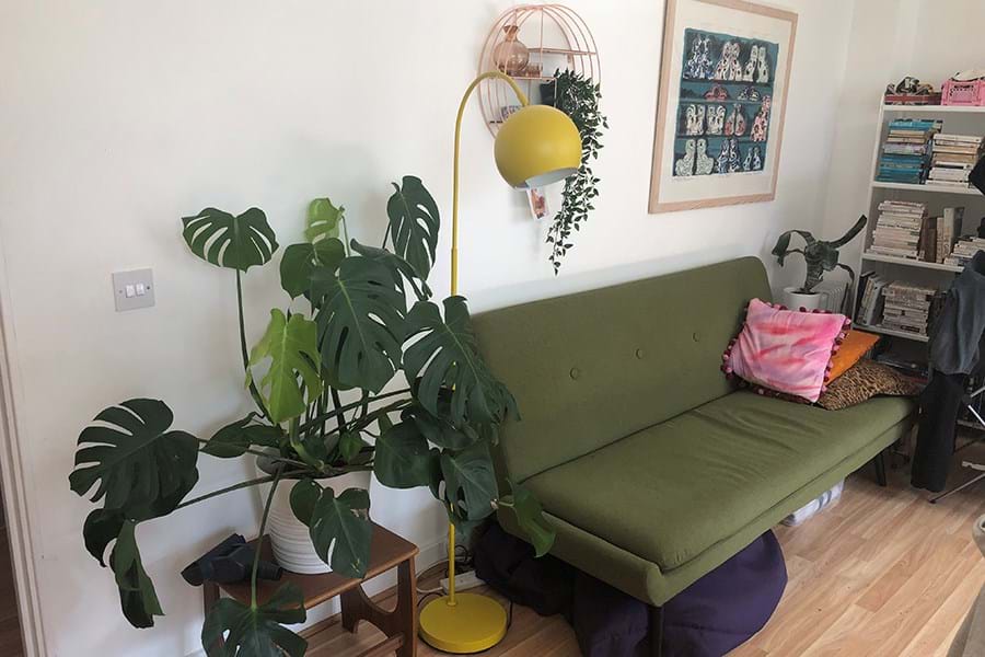 Large cheese plant next to a yellow lamp and green sofa 