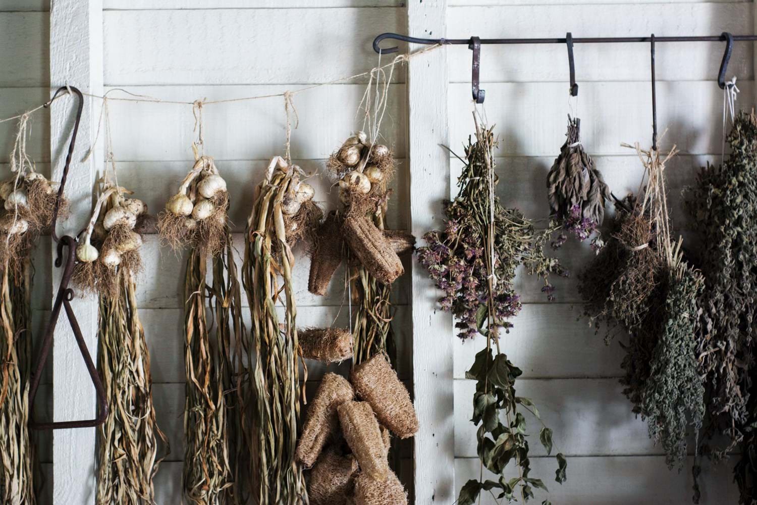 Dried herbs hang from a rack