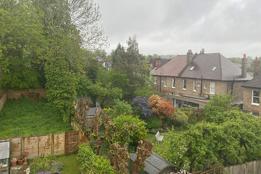 View from an upstairs window across adjacent gardens 