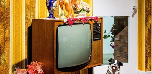 Close up of a living room dressed in a 1970s style. There is yellow and brown patterned wallpaper, plastic flowers and a model of a dog next to a television set