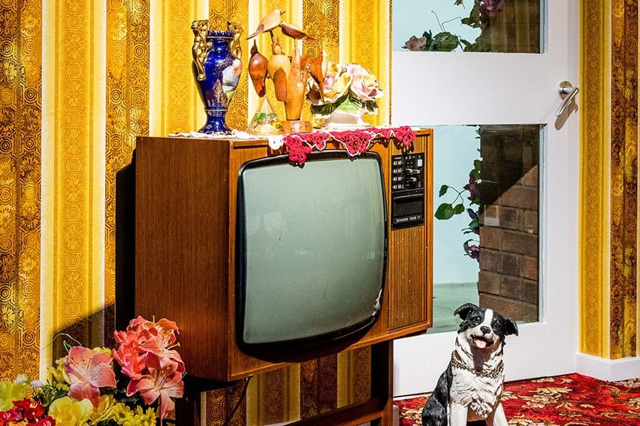 Close up of a living room dressed in a 1970s style. There is yellow and brown patterned wallpaper, plastic flowers and a model of a dog next to a television set